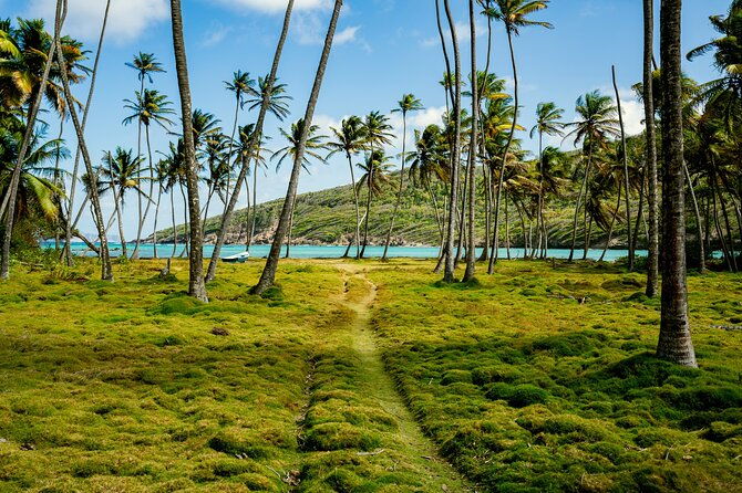 private-tour-st-vincent-half-day