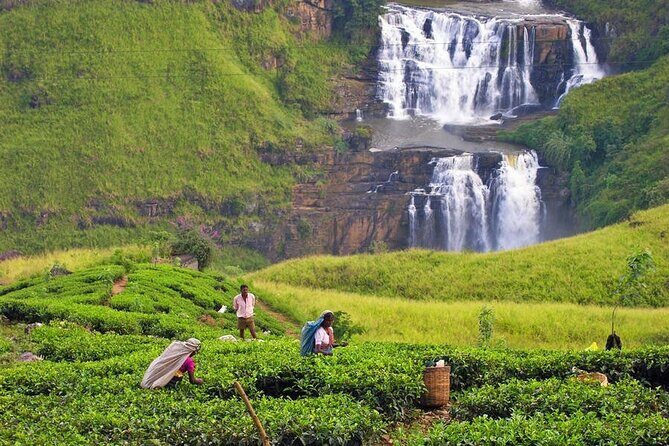 Private tour start from Colombo airport 4 person for 7 N / 8 days - A Complete Breakdown of the 8-Day Sri Lanka Tour