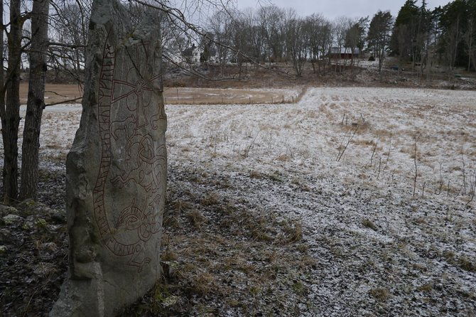 private-tour-swedish-iron-age-excursion-from-stockholm-3h