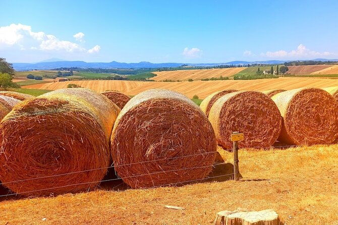 private-tour-sweet-hills-of-chianti-and-san-gimignano-with-lunch-2-tastings