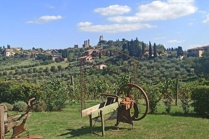 private-tour-sweet-hills-of-chianti-and-san-gimignano-with-lunch-2-tastings