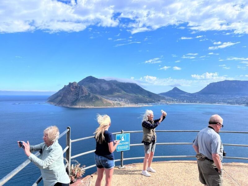 Private tour, Swim with Penguins at Boulders Beach - The Sum Up