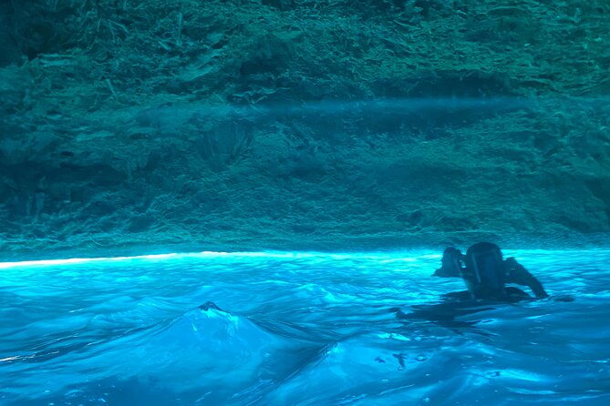 private-tour-swim-with-turtles-and-beachhop-the-westcoast