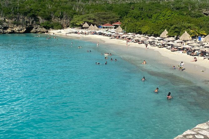 private-tour-swim-with-turtles-and-beachhop-the-westcoast