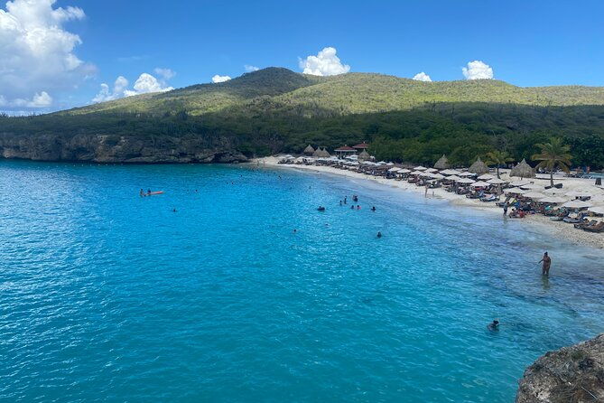 private-tour-swim-with-turtles-and-beachhop-the-westcoast