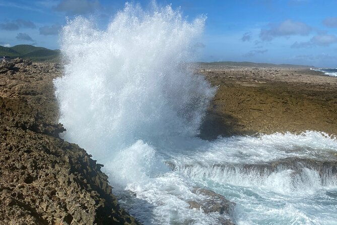 private-tour-swim-with-turtles-and-beachhop-the-westcoast
