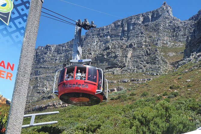 Private Tour: Table Mountain Boulder's Beach Penguin Cape Point - Discovering the Highlights of Cape Town  