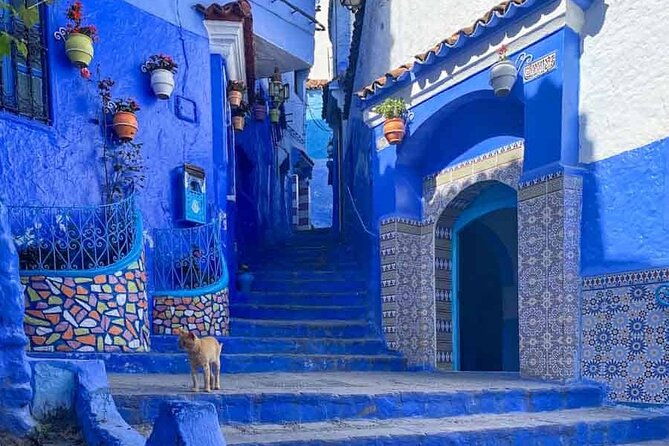 private-tour-tangier-from-malaga-breakfast-and-lunch-included