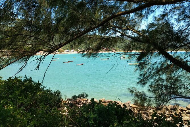 private-tour-the-7-most-preserved-beaches-on-the-south-island-by-floripa-nativa