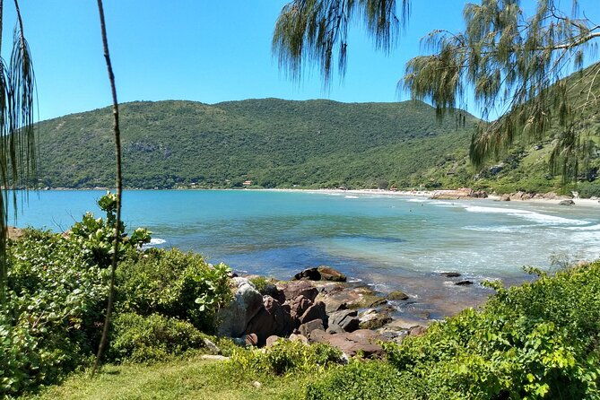 private-tour-the-7-most-preserved-beaches-on-the-south-island-by-floripa-nativa