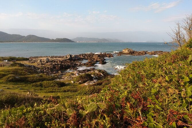 private-tour-the-7-most-preserved-beaches-on-the-south-island-by-floripa-nativa