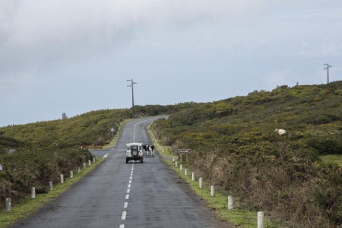 private-tour-the-amazing-west-jeep-safari-tour-full-day