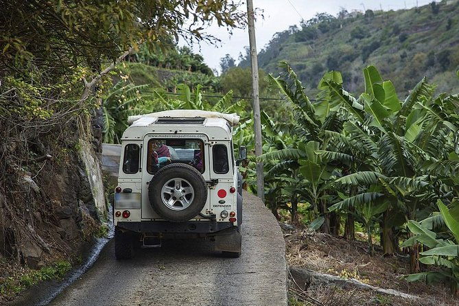 private-tour-the-amazing-west-jeep-safari-tour-full-day