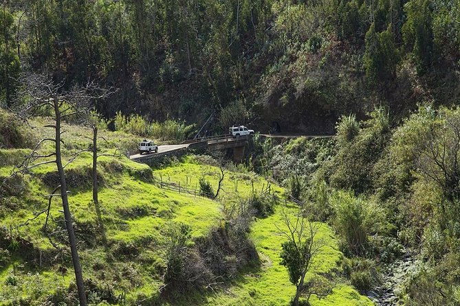 private-tour-the-best-of-the-south-jeep-safari-tour-full-day