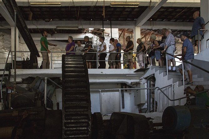 private-tour-the-best-of-the-south-jeep-safari-tour-full-day