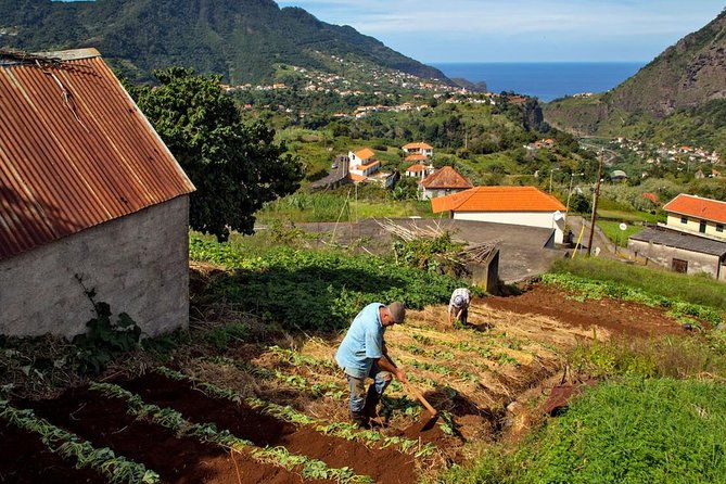 private-tour-the-best-of-the-south-jeep-safari-tour-full-day