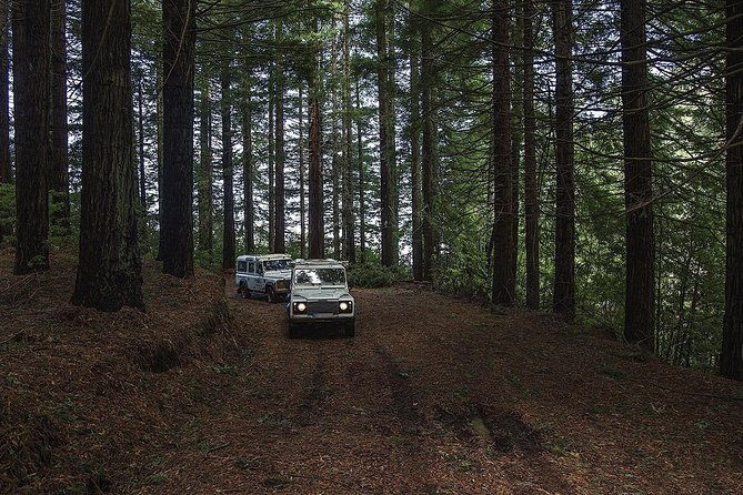 private-tour-the-enchanting-north-jeep-safari-tour-full-day