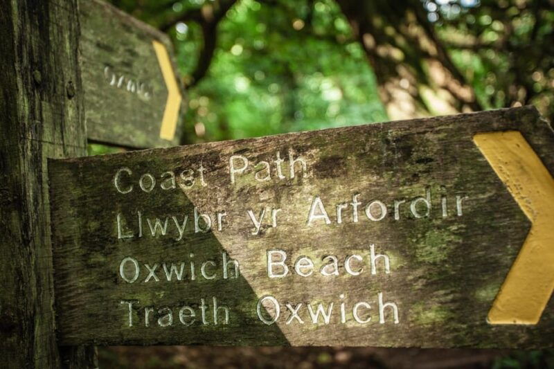 private-tour-the-gower-mumbles-three-cliffs-worms-head