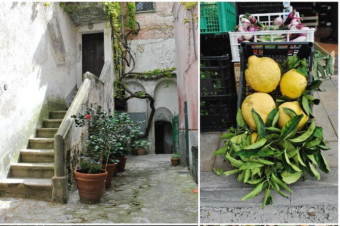 Private Tour: The Path of the Lemons - The Experience: What to Expect