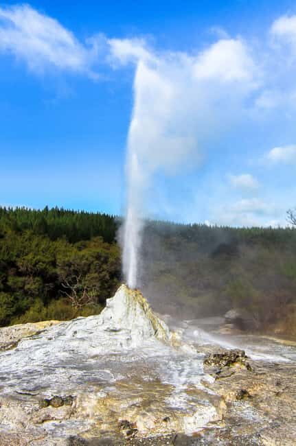 Private Tour: The Rocky Rotorua (Flexible) - The Transportation: Comfort Meets Convenience