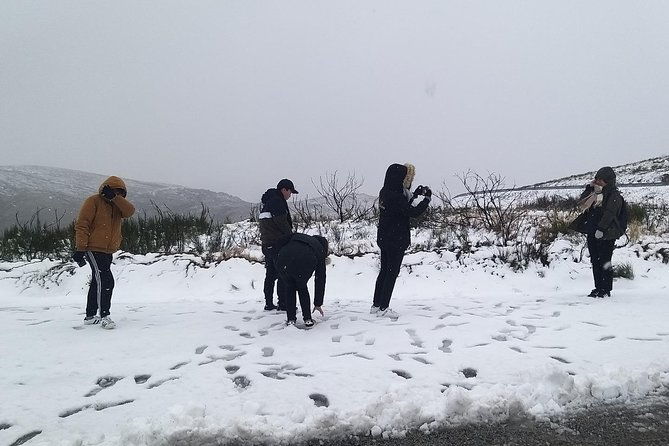 private-tour-through-serra-da-estrela-park-and-its-famous-cheese
