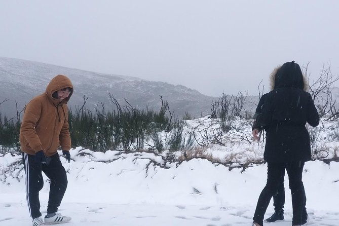 private-tour-through-serra-da-estrela-park-and-its-famous-cheese