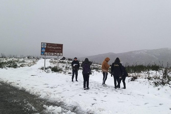 private-tour-through-serra-da-estrela-park-and-its-famous-cheese