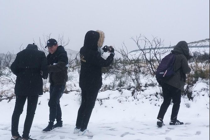 private-tour-through-serra-da-estrela-park-and-its-famous-cheese