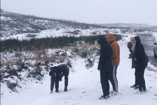 private-tour-through-serra-da-estrela-park-and-its-famous-cheese