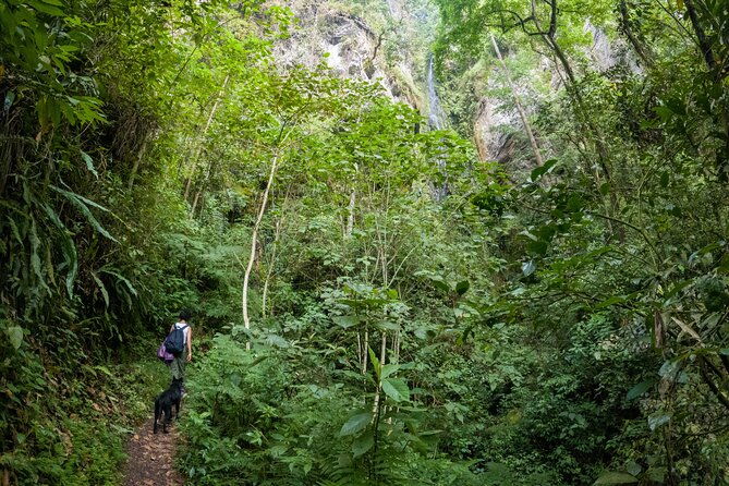 private-tour-through-the-chicaque-natural-park-and-forest-of-fog