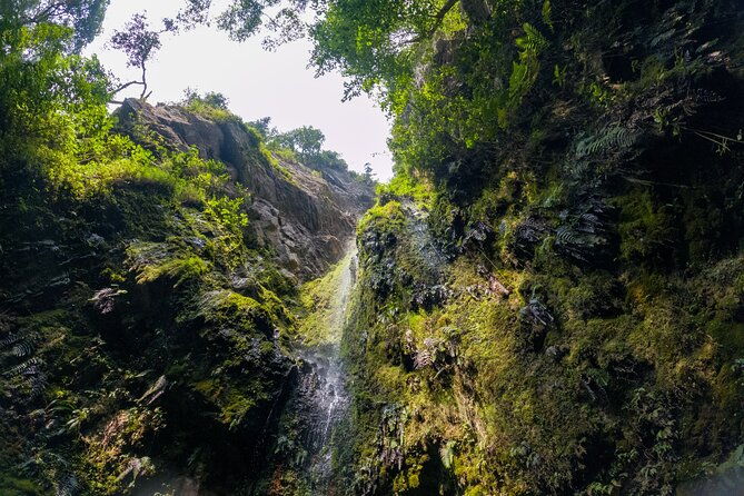 private-tour-through-the-chicaque-natural-park-and-forest-of-fog