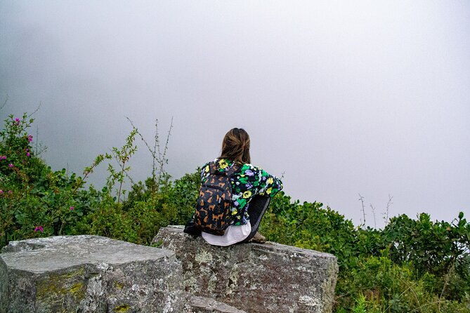 private-tour-through-the-chicaque-natural-park-and-forest-of-fog