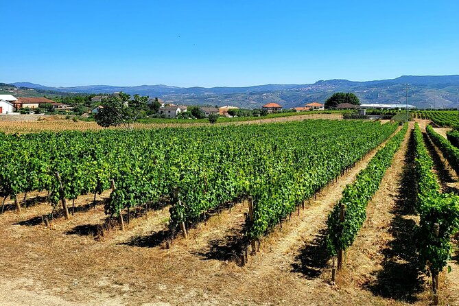 private-tour-through-the-douro-valley-wineries-boat