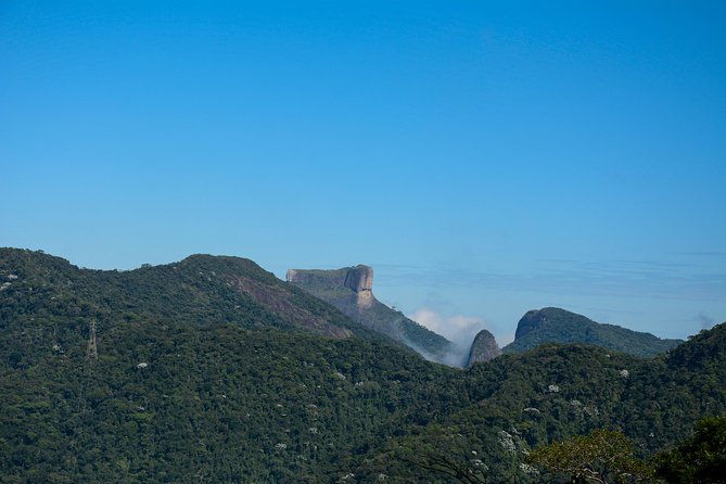 private-tour-tijuca-national-park-with-a-photographer