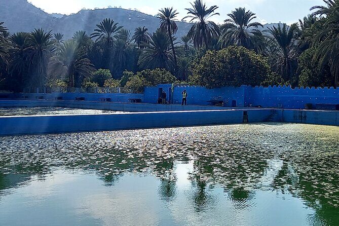 Private Tour: Tiout and Taroudant from Agadir - Transport, Timing, and Value  