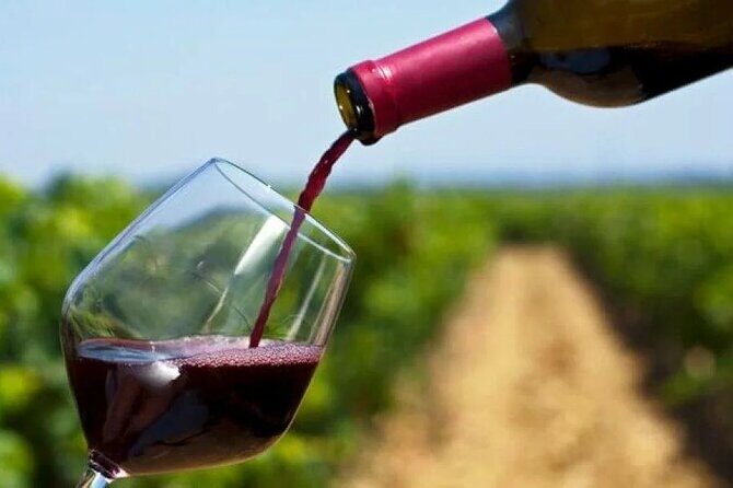 Private Tour to 20 Wine Tasting in Stellenbosch and Franschhoek - Why This Tour Is Worth It