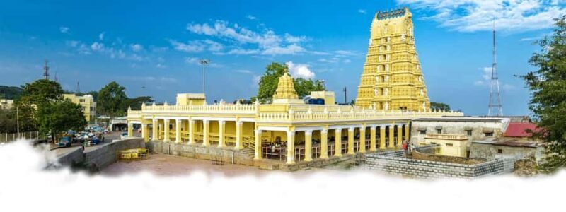Private Tour to admire the Grandeur of Mysore from Bangalore - What Makes This Tour Stand Out