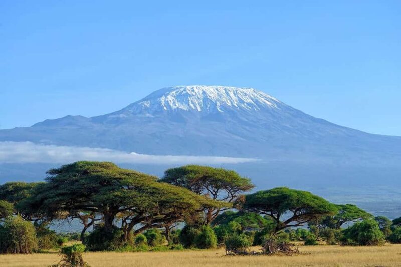 Private Tour to Amboseli National Park - Key Points  