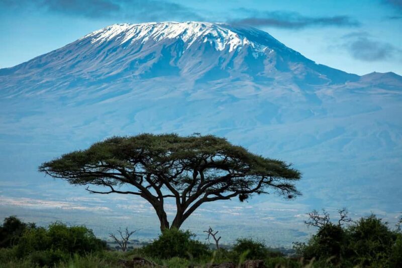 Private Tour to Amboseli National Park - In-Depth Look at the Amboseli Private Tour  