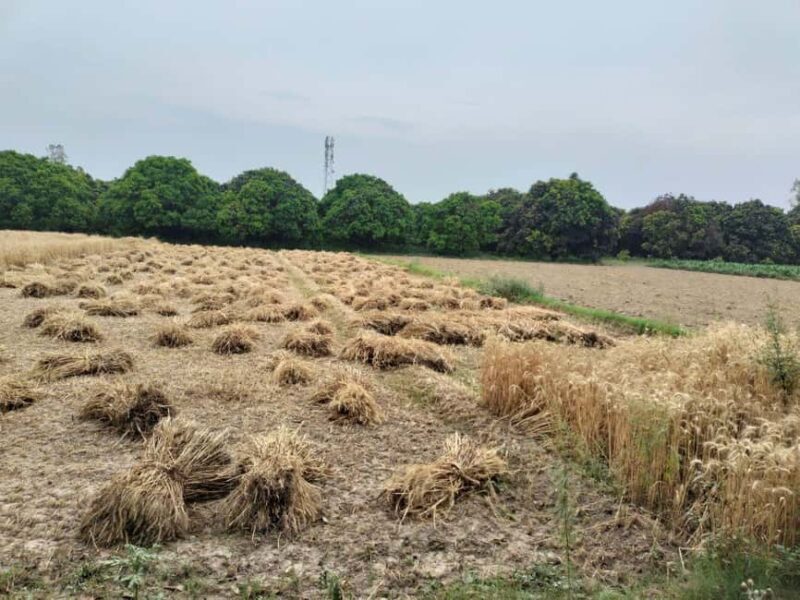 Private Tour to an Indian Village & Cooking Class - FAQ