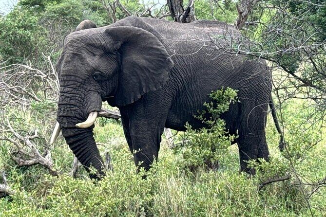 Private Tour to Aquila Game Reserve in Cape Town - see the Big5 - Final Thoughts