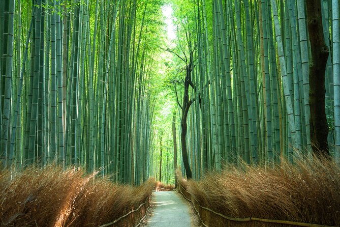 private-tour-to-arashiyama-monkey-park-and-arashiyama-highlights