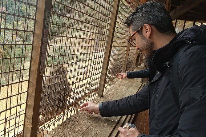 private-tour-to-arashiyama-monkey-park-and-arashiyama-highlights