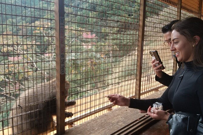 private-tour-to-arashiyama-monkey-park-and-arashiyama-highlights