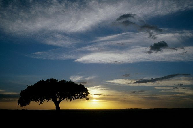 private-tour-to-arraiolos-and-evora-unesco-world-heritage-city