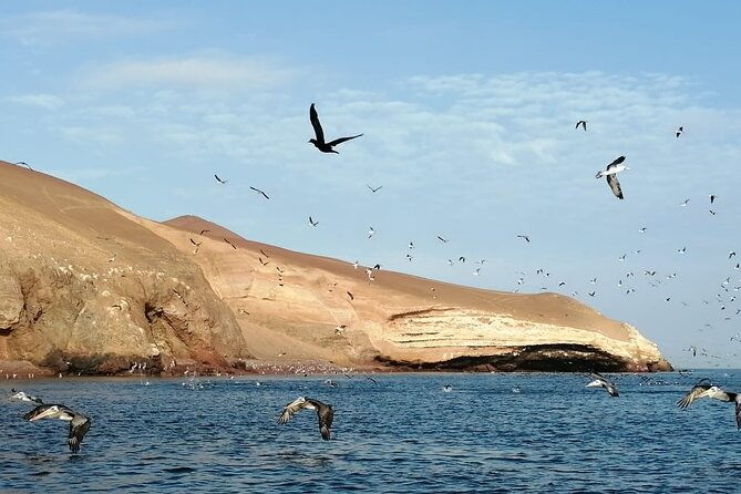 private-tour-to-ballestas-islands-ica-and-huacachina-including-sandboarding
