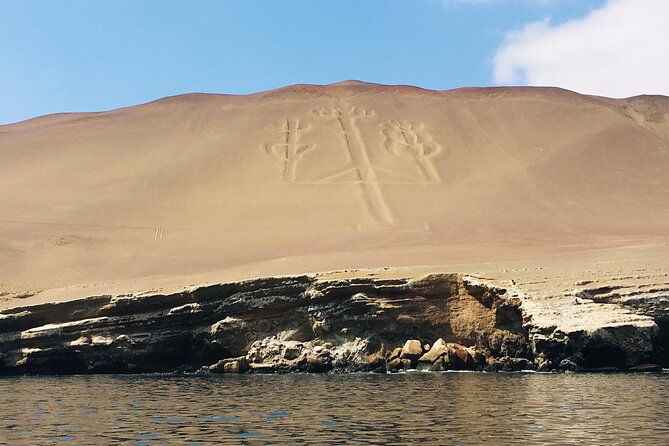 private-tour-to-ballestas-islands-ica-and-huacachina-including-sandboarding