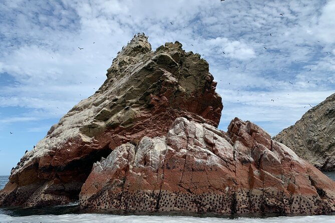 private-tour-to-ballestas-islands-ica-and-huacachina-including-sandboarding