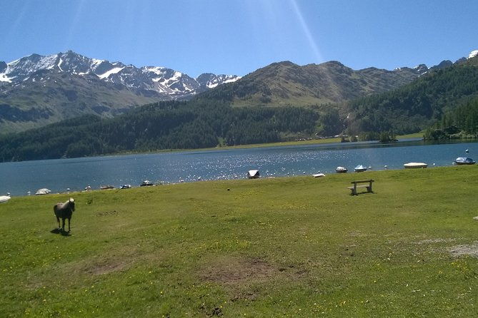 private-tour-to-bernina-train-lake-como-hotel-pick-up