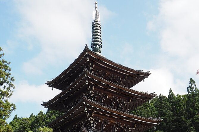 private-tour-to-big-buddha-and-nebuta-museum-with-licensed-guide